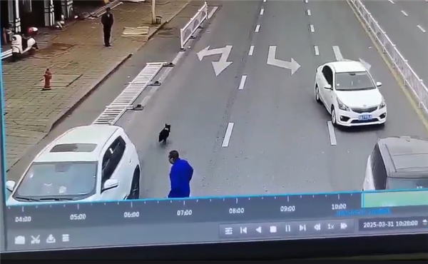 奇瑞SUV离奇事故！驾驶室没人路边突然启动撞倒护栏