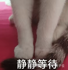 停滞50年的计算机理论僵局被打破！少量内存 可节省大量计算时间