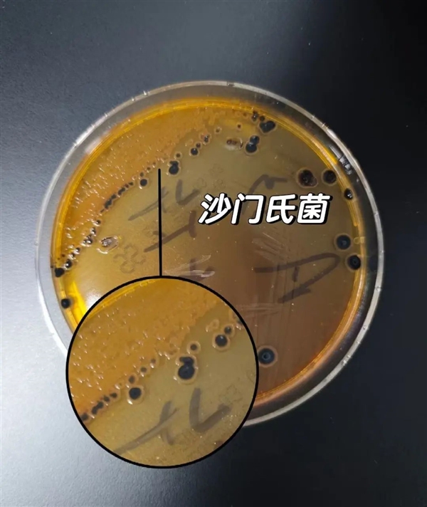 无菌蛋、可生食蛋、无抗蛋、土鸡蛋……都是智商税啊